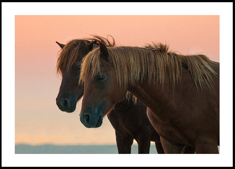 Ich freue mich auf das Poster