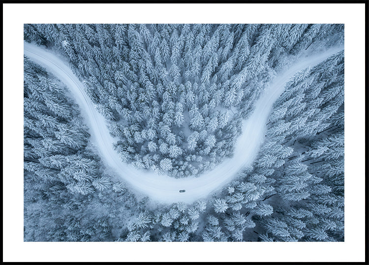 Snowy drive Plakat