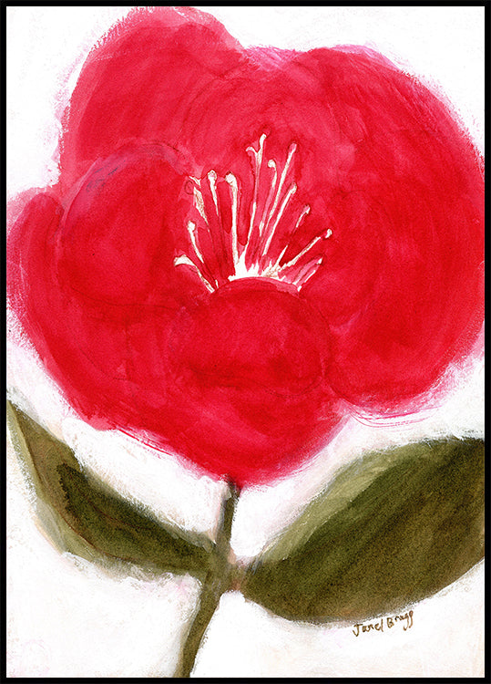 Blumen in Rot für Cierra Poster