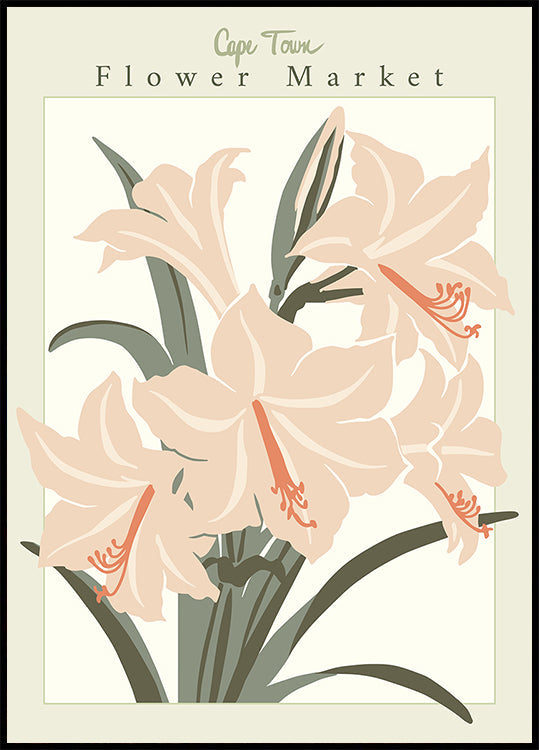 Blumenmarkt Cap Town Amaryllis Poster