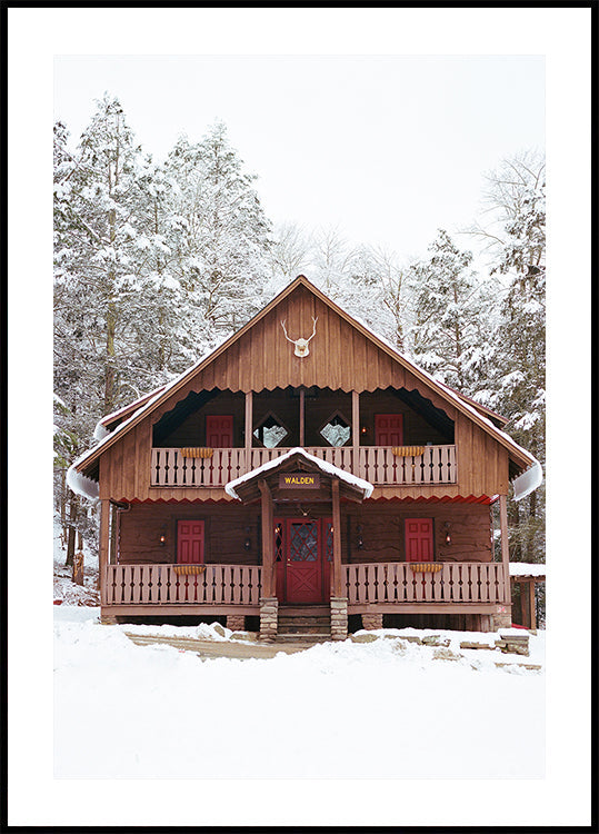 Upstate New York Snow XI Poster