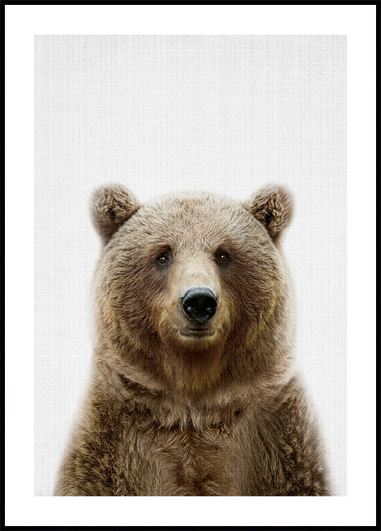Peekaboo-Bär-Poster
