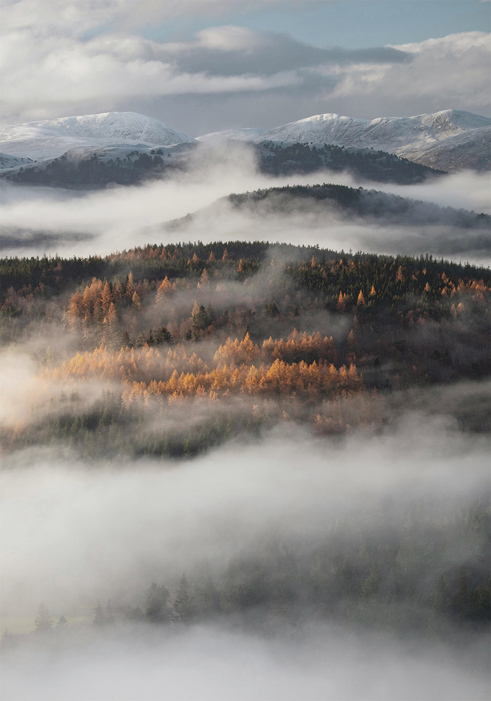 Misty Valley Plakat - Posterbox.dk