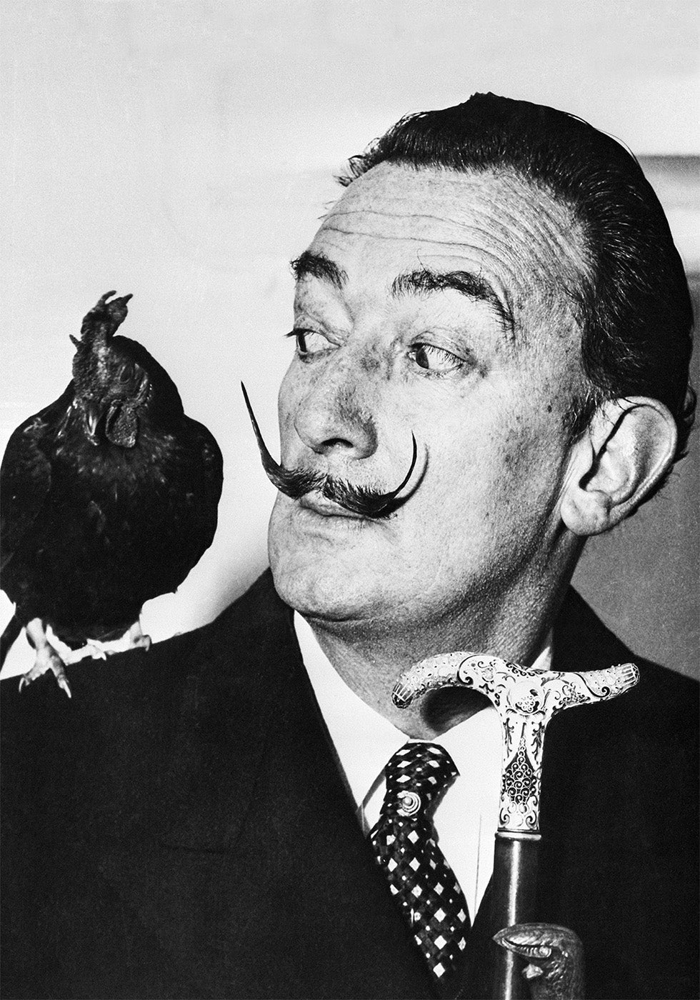 Salvador Dali with Rooster Plakat - Posterbox.dk