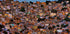 Nightfall in the Favela da Rocinha - Posterbox