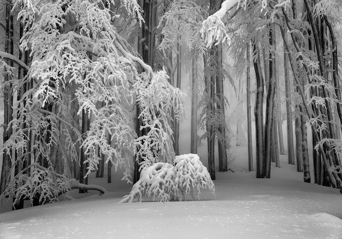 Perfect Winter Plakat - Posterbox