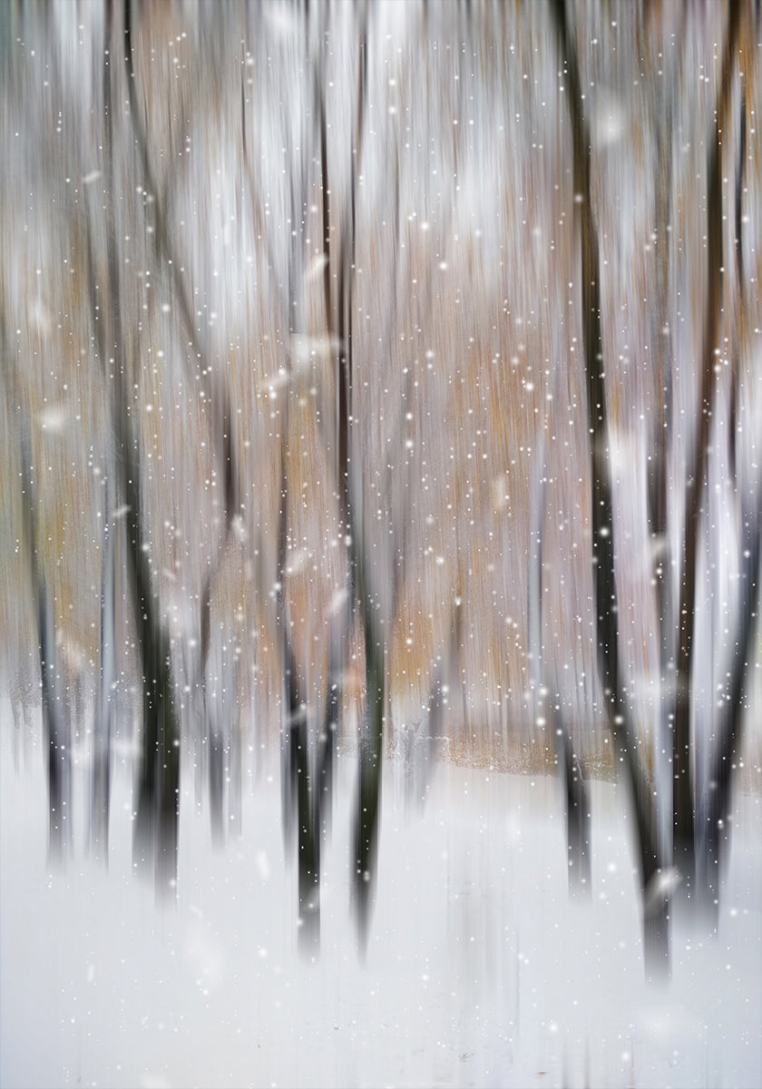 Winter Plakat - Posterbox