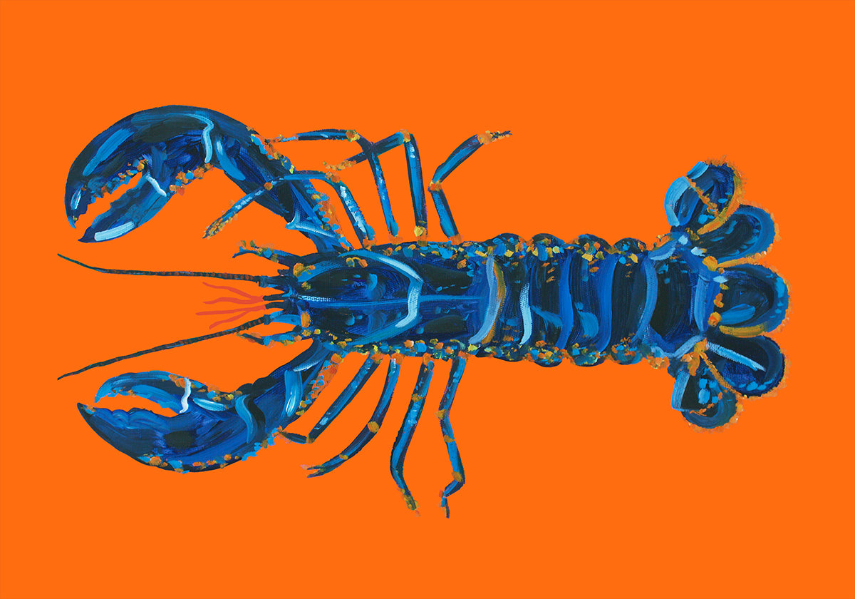 Lobster On Orange Plakat - Posterbox