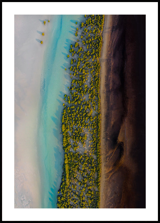 Mangrove Symphony (NEW) - Posterbox
