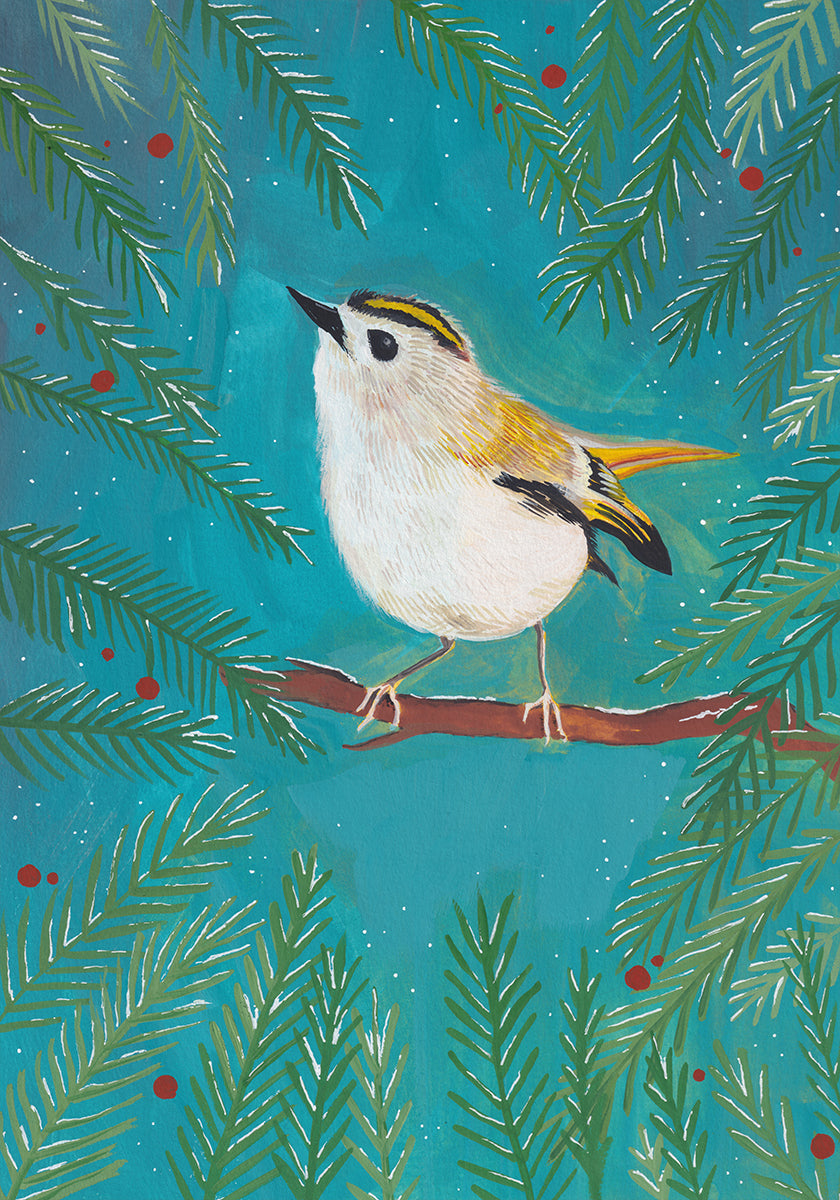 Goldcrest bird sitting in a tree Plakat - Posterbox