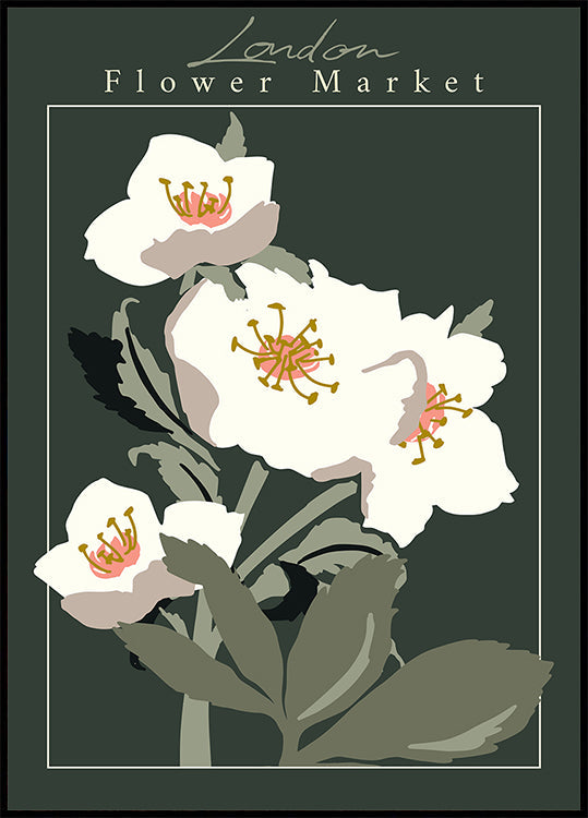 Flower Market London Hellebore Plakat - Posterbox