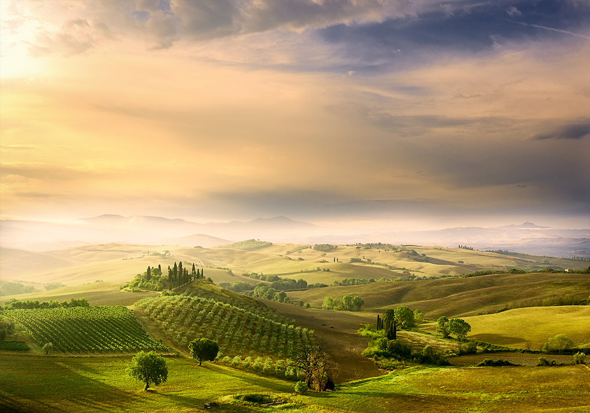 Podere Belvedere's Sunrise - Posterbox