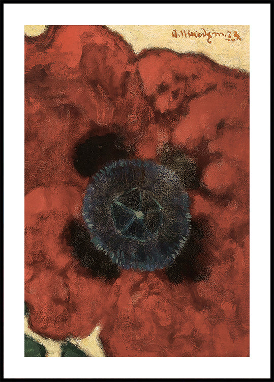 Artur Nikodem Poppy Flower Plakat - Posterbox