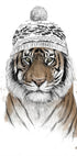Siberian tiger Plakat - Posterbox