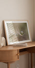 Star of dandelion - Posterbox