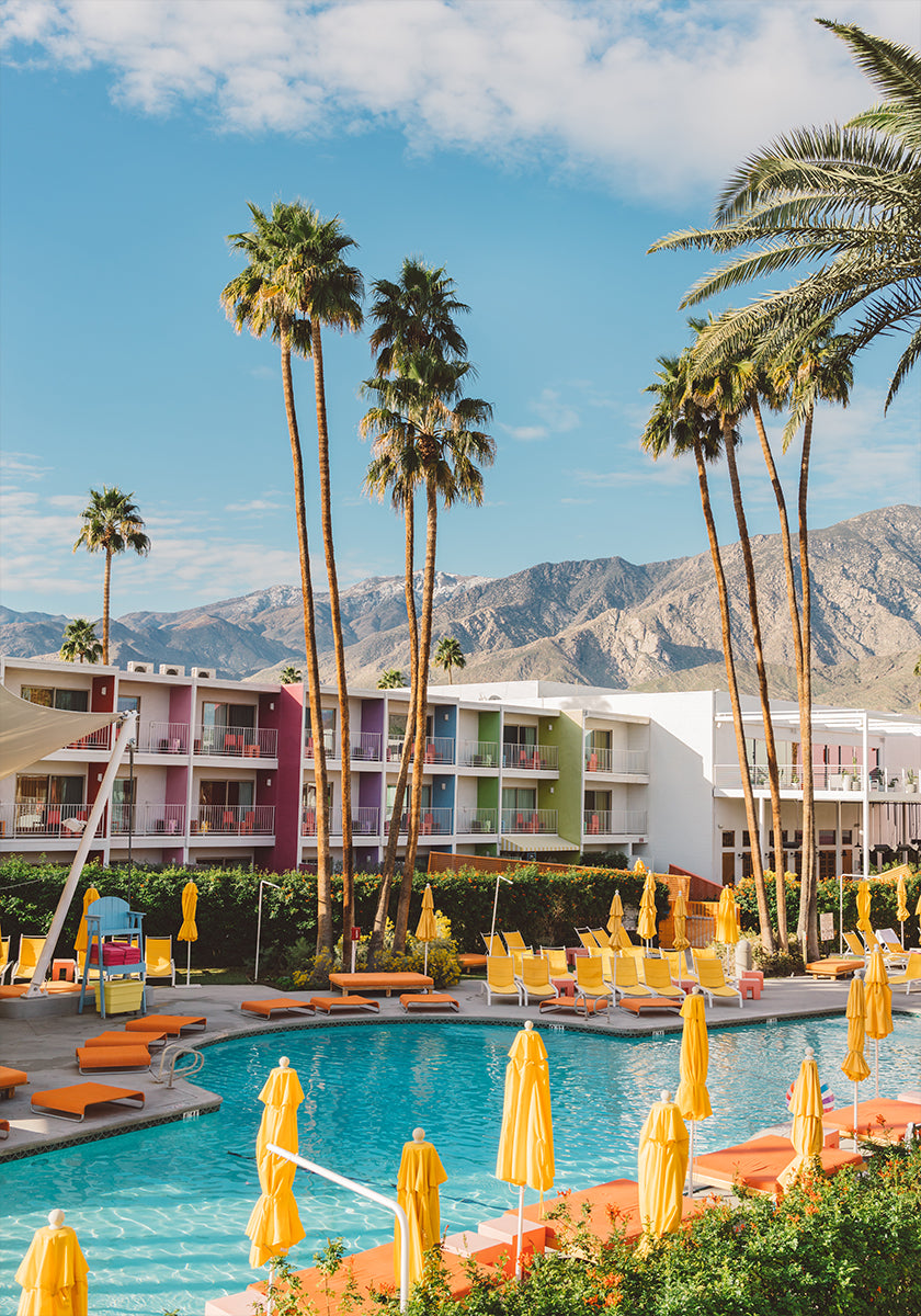 Palm Springs Saguaro Plakat - Posterbox