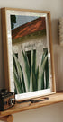 Desert Veil (NEW) - Posterbox