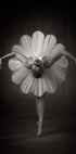 Floral Ballet Plakat - Posterbox