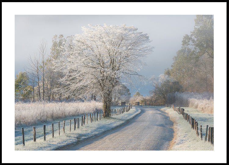 A Frosty Morning Plakat - Posterbox