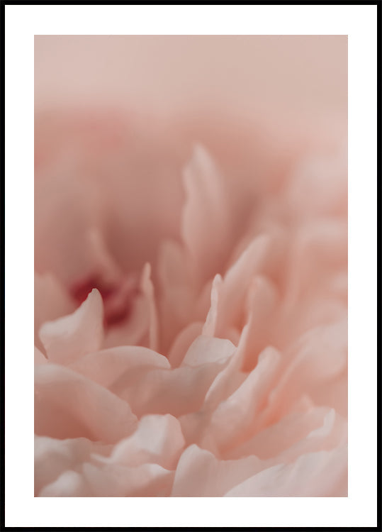 Blossoming No. 2 (NEW) - Posterbox