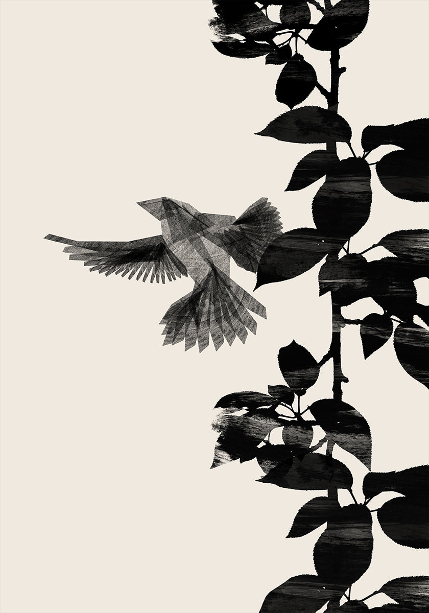 Bird Botanical a 20x30 Plakat - Posterbox