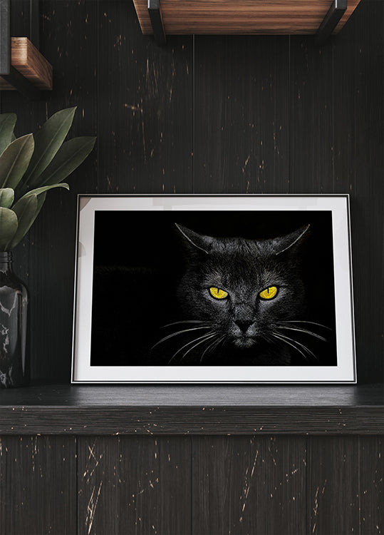 Black Cat Plakat - Posterbox