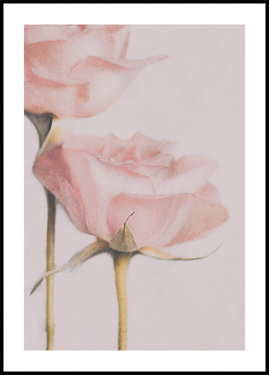 Two Roses Plakat - Posterbox