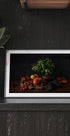 Still life with tomatoes and basil Plakat - Posterbox