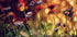 Untitled - Posterbox