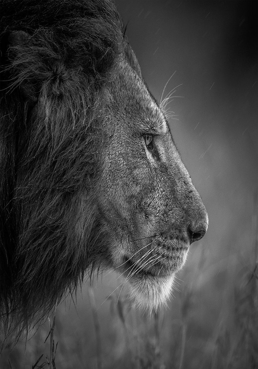 Thinking Under The Rain - Posterbox