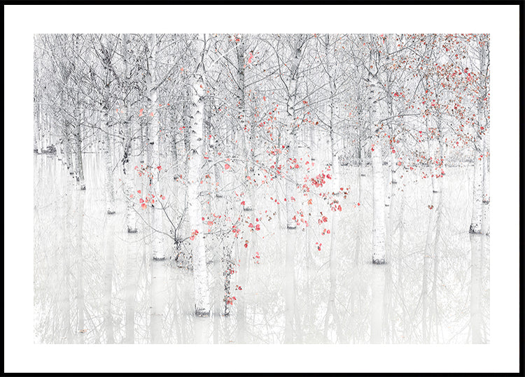 Red & white Plakat - Posterbox