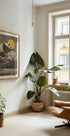 Giant Panda Nap Plakat - Posterbox