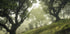 Enchanted Forest Plakat - Posterbox