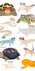 A1 Reptiles In Glasses Plakat - Posterbox