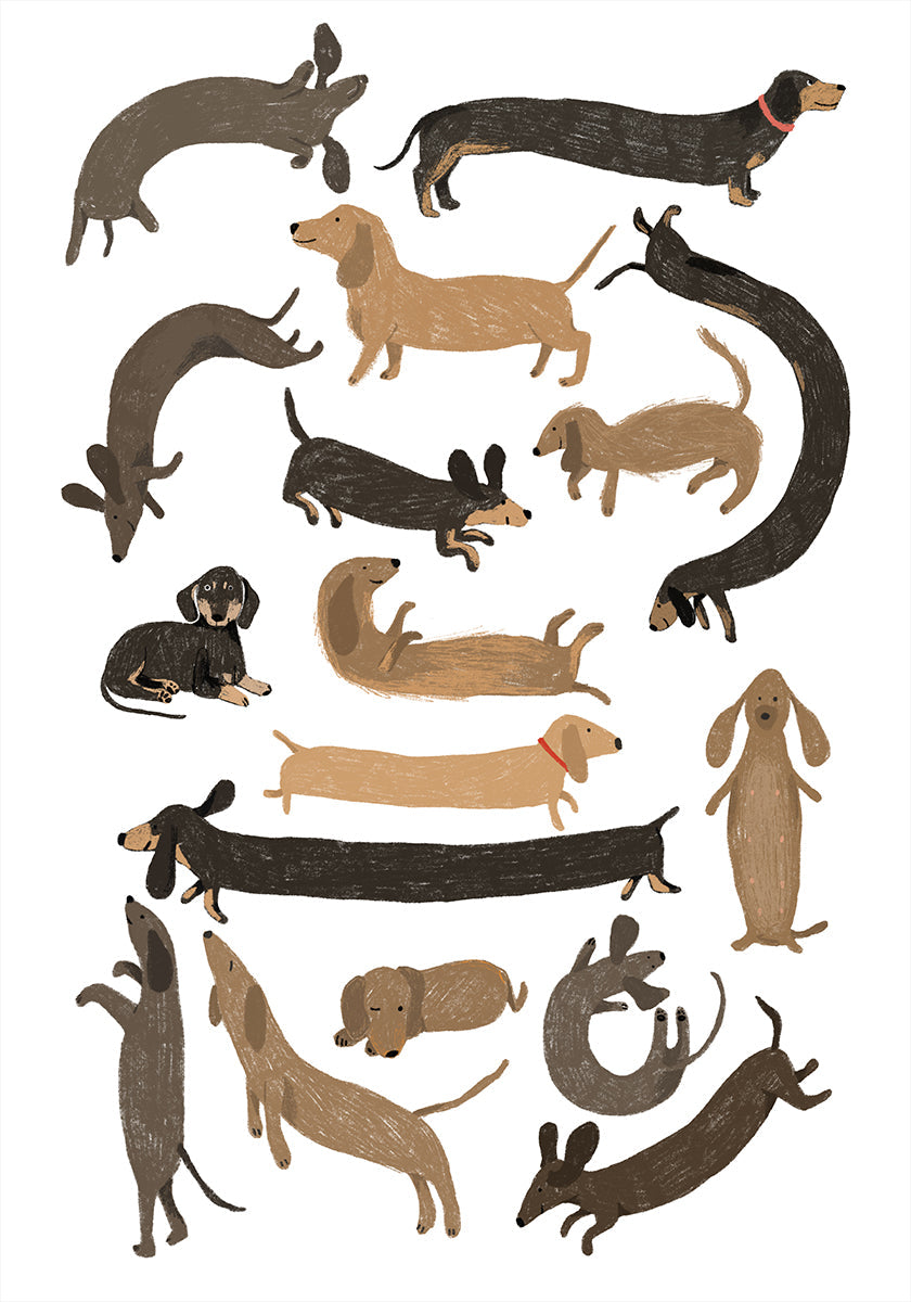 Dachshund Print Plakat - Posterbox