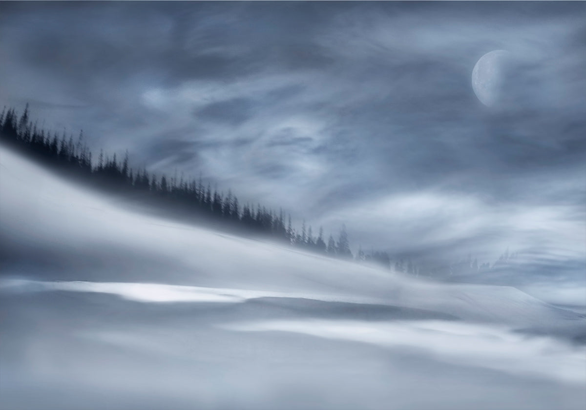 Winter night Plakat - Posterbox