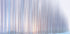 a curtain of trees Plakat - Posterbox