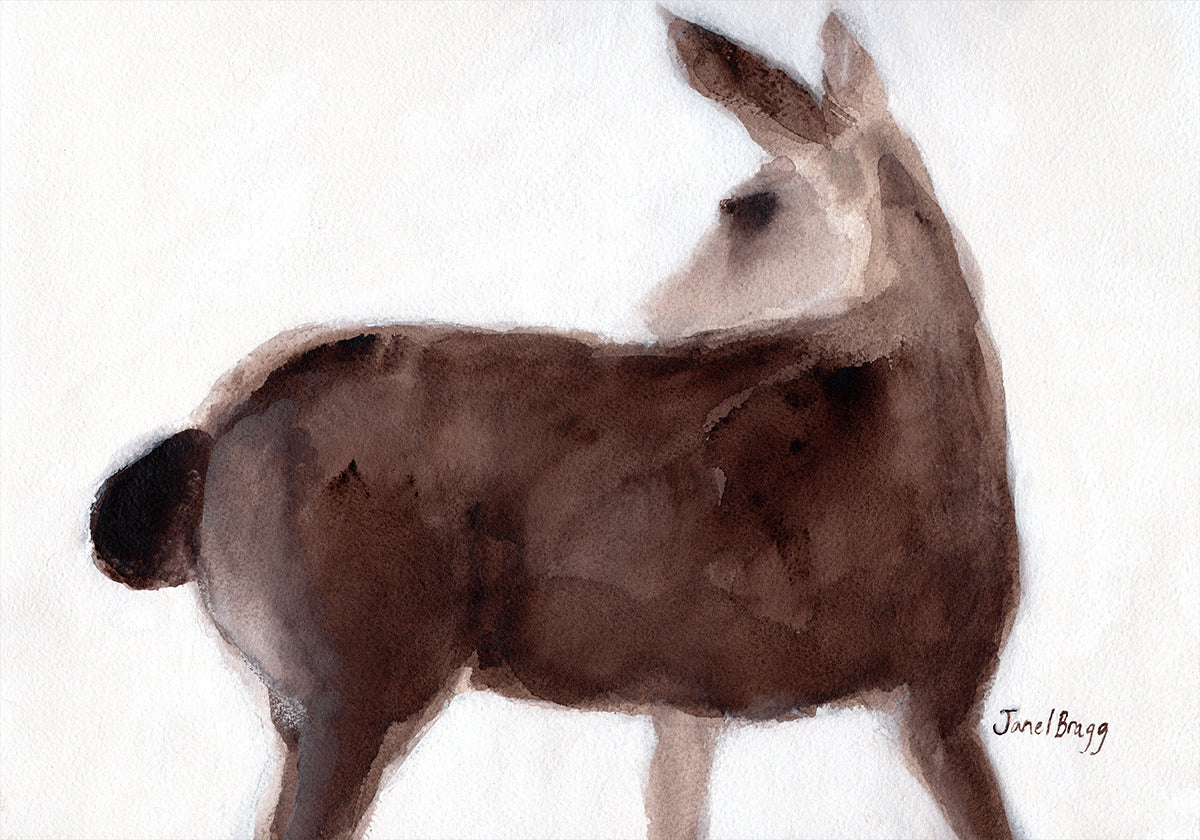 Deer On Creekside Lane Plakat - Posterbox