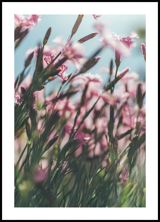 Eine Nahaufnahme eines Feldes aus rosa Blumen mit grünen Stielen, die eine lebendige und natürliche Szene schaffen.