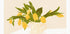 Pandcyellowtulips Copy - Posterbox