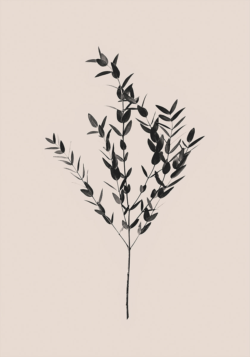 Inky Botanical - Posterbox