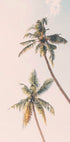 Tropical Palms Plakat - Posterbox