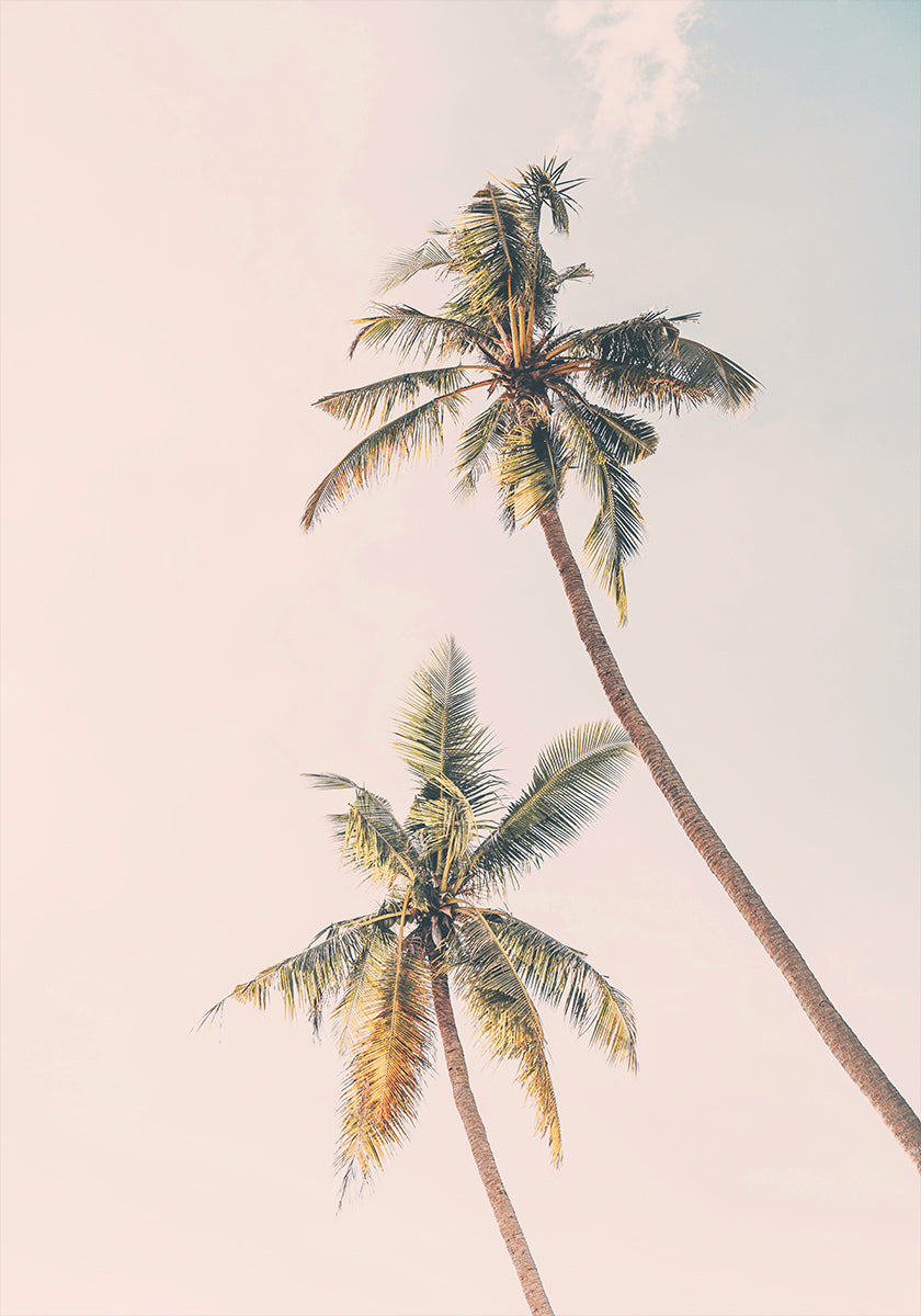 Tropical Palms Plakat - Posterbox
