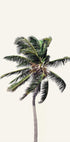 Windy Palm Tree Plakat - Posterbox