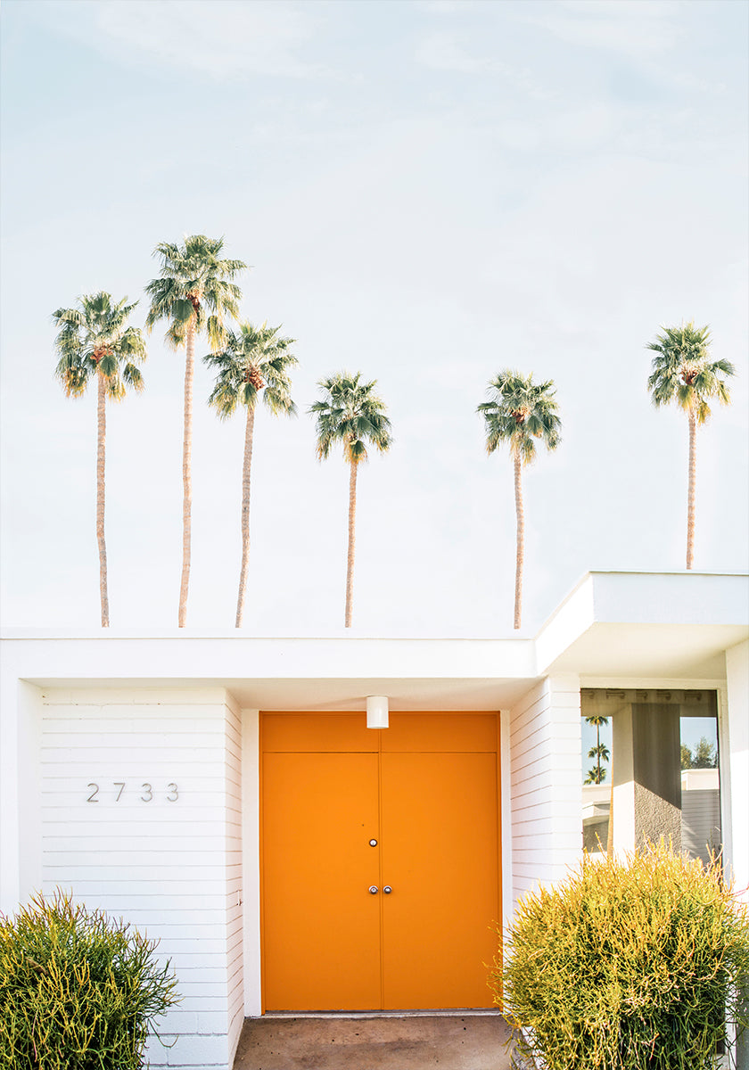 Palm Springs 1 (NEW) - Posterbox