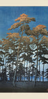 Hikawa Park In Omiya (1930) By Kawase Hasui and Watanabe Shozaburo (NEW) - Posterbox
