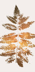 Oak Leaf Print   Gold - Posterbox