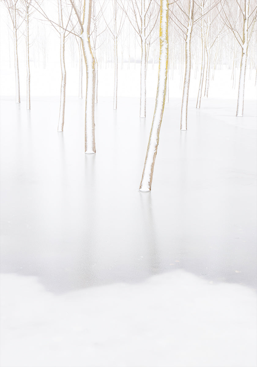 Winter Reflection Plakat - Posterbox