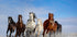 Mongolia Horses - Posterbox