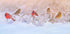 Snowy Morning  Party Plakat - Posterbox